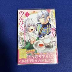 婚約破棄された聖女はのんびり働きたい　突然皆様に求婚されてもお断りです! 1