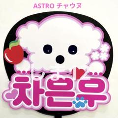 2025年最新】astro チャウヌ うちわの人気アイテム - メルカリ