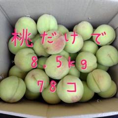 かたい桃若桃加工用8.4キロ 46☆加工用若桃☆桃だけで約8.5kg☆78コ❌時間指定不可❌ - メルカリ