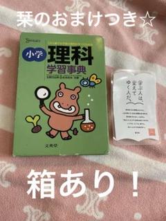美品！浜学園4年マスターコース3教科フル＆6年理科サイエンス全冊 浜学園 公開学力テスト 小4 2023年＆2024年 4科目 2年分