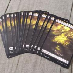 MTG ダブルマスターズ 基本土地 沼 18枚セット