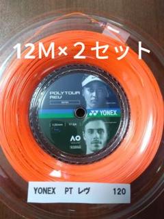 YONEXポリツアーレブ120 12Ｍ×２セット