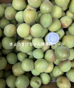 2025年最新】梅 十郎の人気アイテム - メルカリ