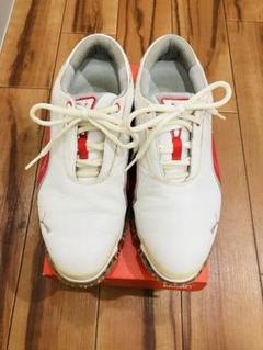 良品　Pumaプーマ ゴルフシューズ ホワイト/レッド24.5cm替え紐付