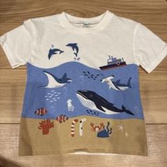 EL FIN DOLL 海洋生物プリント Tシャツ 110