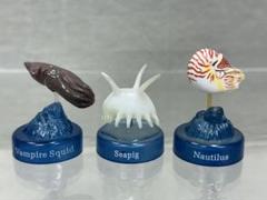 海洋堂　深海生物　コウモリダコ　センジュナマコ　オウムガイ　中古現状