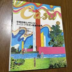 建築家『ルイス・バラガン』2006年ドイツの現代美術館制作