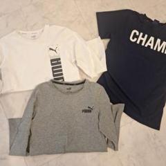 Puma Champion 半袖Tシャツ×ロンT長袖３枚セット