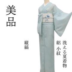 m1719＊美品 洗える夏着物 絽 縦縞 小紋 - メルカリ