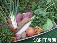 畑からお届け 無農薬お野菜セット【80サイズ】