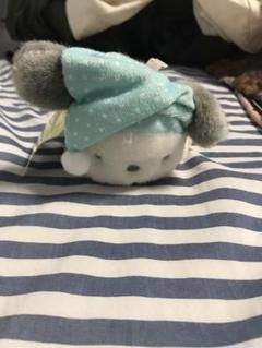 ぬいぐるみ キーホルダー ポチャッコ