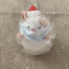懐かしのショートケーキのようせい⋆* ハムちゃん ぬいぐるみ アニメイト秋葉原 on X: 