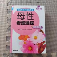 ウエルネスからみた 母性看護過程 +病態関連図