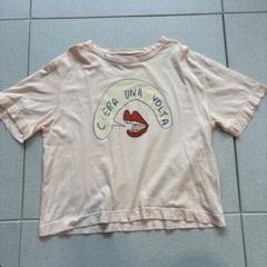 THE ANIMALS OBSERVATORY Tシャツ サイズ3