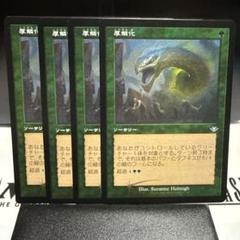 MTG 厚鱗化 foil4枚 ➁