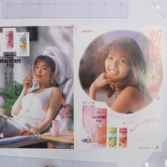 未開封アイドルタオル＋DVD)アイドルタオル　飯島直子／ DVD『永遠の美少女』 永遠の美少女くびれてるぜDVD かとうれいこ、飯島直子、原久美子、他