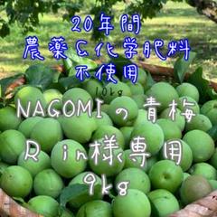 NAGOMIの青梅 9kg 農薬不使用『Rin』 NAGOMIの青梅 9kg 農薬不使用『Rin様専用』 - メルカリ