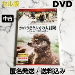 セル版『かわうそタルカの大冒険』DVD★中古