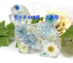 ♡お花たっぷりのトイプードルさん♡固まるハーバリウム
