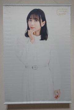 水瀬いのり ポスター・タペストリーセット Amazon.co.jp: 水瀬いのり A3タペストリー クリアポスター