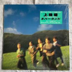 RUN-RUN-RUN- NEVERLAND LPレコード