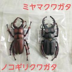 ノコギリクワガタ ミヤマクワガタ フィギュア
