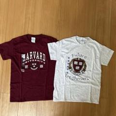 新品 HARVARD UNIVERSITY Tシャツ 2枚セット 130cm