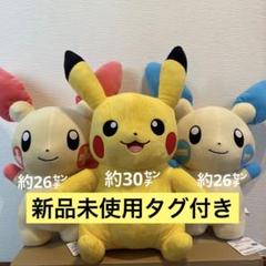 ポケモン ピカチュウ プラスル マイナン　めちゃもふぐっと