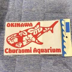 ⭐️匿名配送⭐️沖縄美ら海水族館　ジンベエザメ　カッティングシール　沖縄　シール