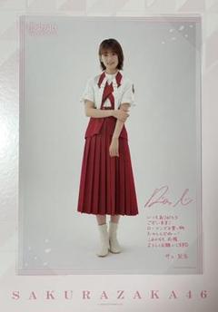 櫻坂46 くじ　メッセージ入り　フォトコレクション　16枚セット　送料込み 櫻坂46 くじ メッセージ入り フォトコレクション 16枚セット