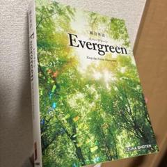 Ever Green エバーグリーン 本カタログ　古いですが希少な品　１６冊 Ever Green エバーグリーン 本カタログ 古いですが希少な品 16