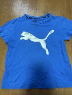 PUMA 青 Tシャツ ロゴプリント　プーマ