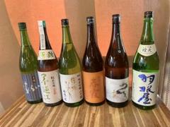 日本酒セット 黒龍いっちょらい 墨廼江 東洋美人 春霞 市野屋 羽根屋