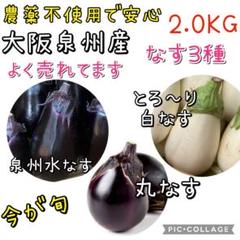 2025年最新】白ナスの人気アイテム - メルカリ