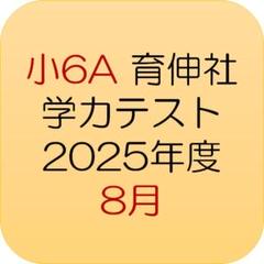 【最新／即日発送】小6A 育伸社 学力テスト 2025年度8月