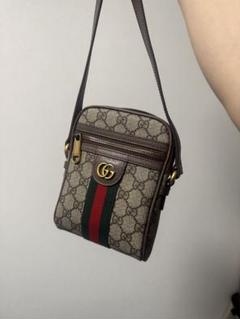 【希少廃盤モデル】GUCCI GG オフィディア ショルダーバッグ
