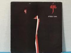 2025年最新】steely lp danの人気アイテム - メルカリ