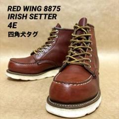 RED WING　8875　四角犬タグ　アイリッシュセッター　赤茶のサムネイル
