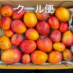 訳あり　ミニマンゴー　8,5kg クール便 訳ありミニマンゴー クール便発送！ - メルカリ