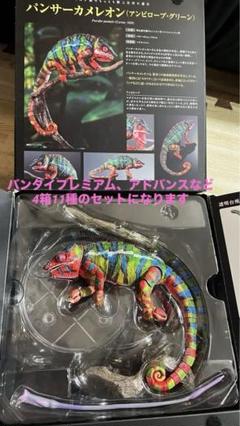 2025年最新】リーフシードラゴンの人気アイテム - メルカリ