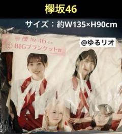 【新品未開封】櫻坂46 Nobody's fault ブランケット 2025年最新】櫻坂 ブランケットの人気アイテム - メルカリ