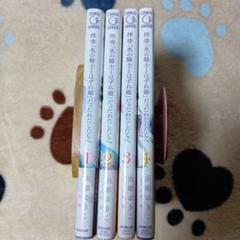 拝啓「氷の騎士とはずれ姫」だったわたしたちへ 1〜4