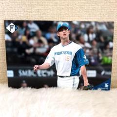 大谷翔平 2014 ハイライトフォト No.285 日本ハム 球団公式写真 61sd2wuCIxL._UF350,350_QL50_.jpg