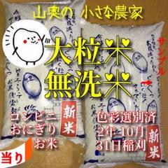 棚田の大粒米 玄米25Kg「無洗米に精米します」超希少