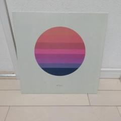【名盤】tycho レコード awake
