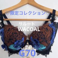 サルート92グループPアップG65ブラウンブラ単品＋G65イエローブラ単品 ワコール サルート 06G ブラジャー BTJ406 3/4カップワイヤー (P