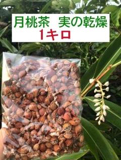 【石垣島産】 月桃の実・乾燥 １キロ ゆうパック発送 アウトレット ストア食品・飲料・酒 - 【石垣島産】 月桃の実