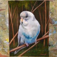 セキセイインコ 鉛筆画 A4 額装 3月に仕上がった、セキセイインコさんです✨ 鉛筆で描きました