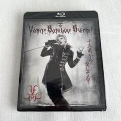生田斗真主演舞台ヴァン!バン!バーン! DVD.パンフレット 生田斗真主演舞台ヴァン!バン!バーン! DVD.パンフレット