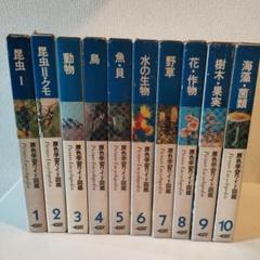 学研原色学習ワイド図鑑 1-10 - メルカリ
